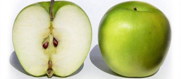 semilla de manzana con poder anticancerígeno