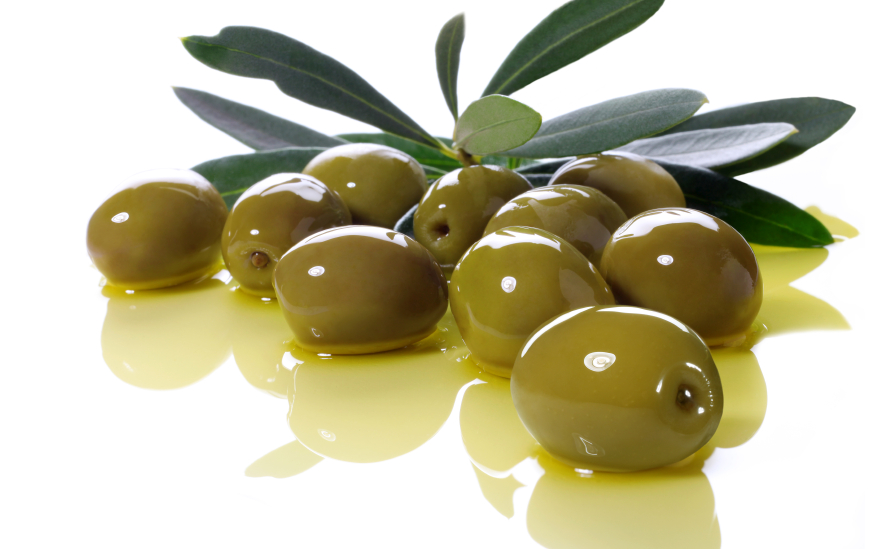 hoja de olivo