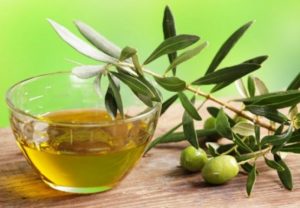 hoja de olivo