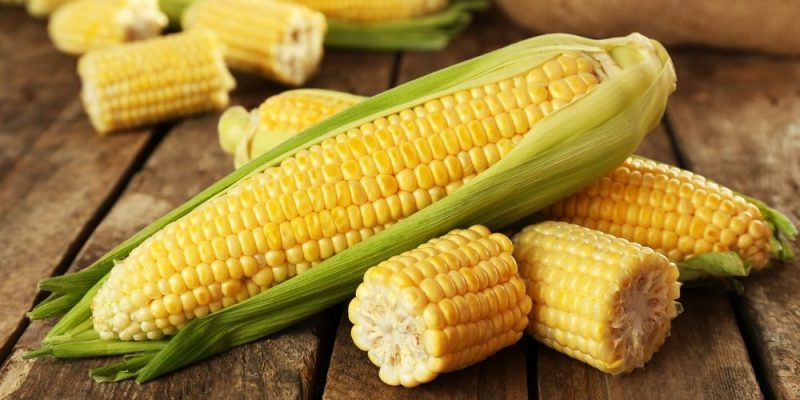 Remedios caseros con jugo de maíz