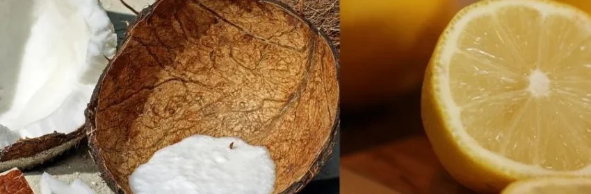 receta para cana con coco