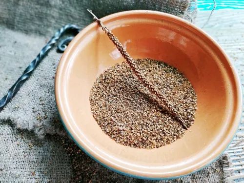 beneficios de la semilla de llantén